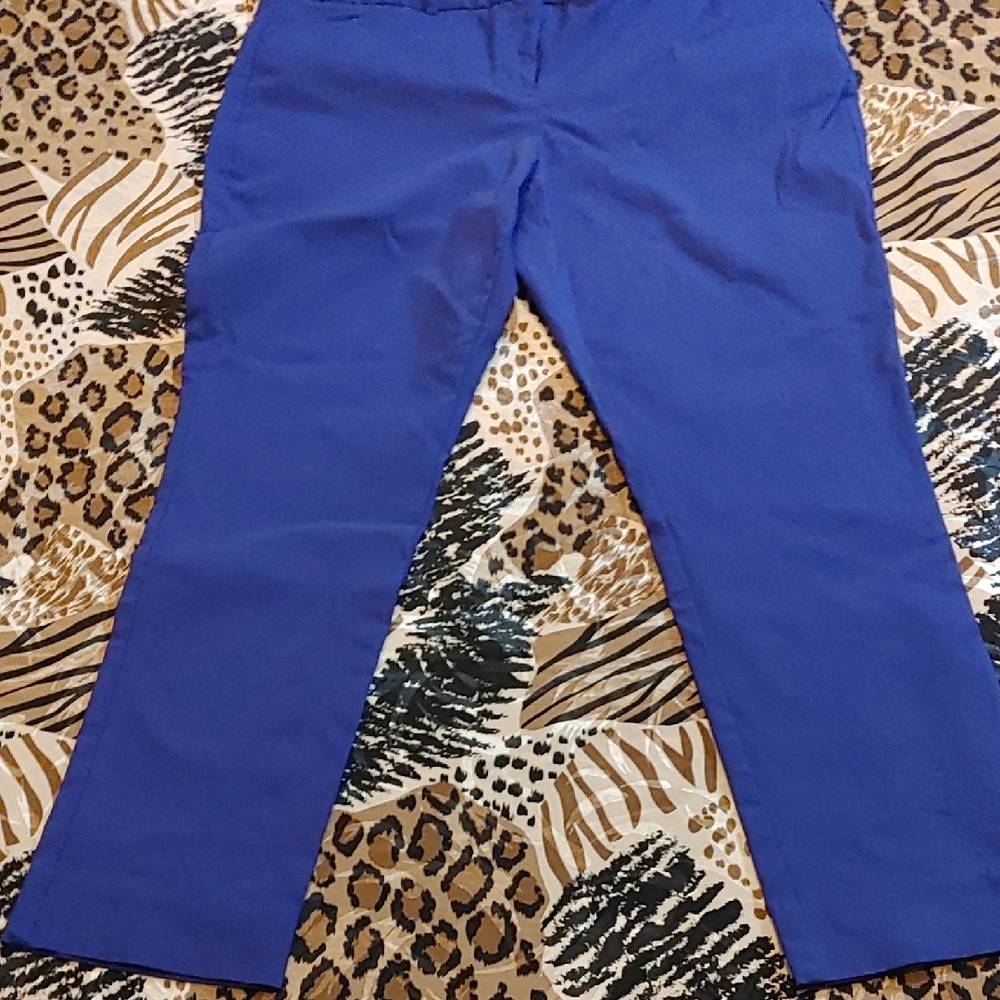 Worthington Women's Vibrant Purple/Blue Slim Fit Pants Sz 12